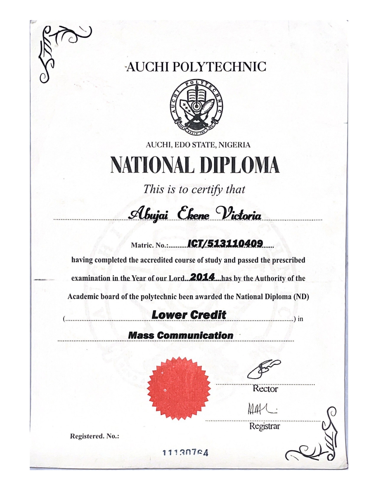Document Page 1