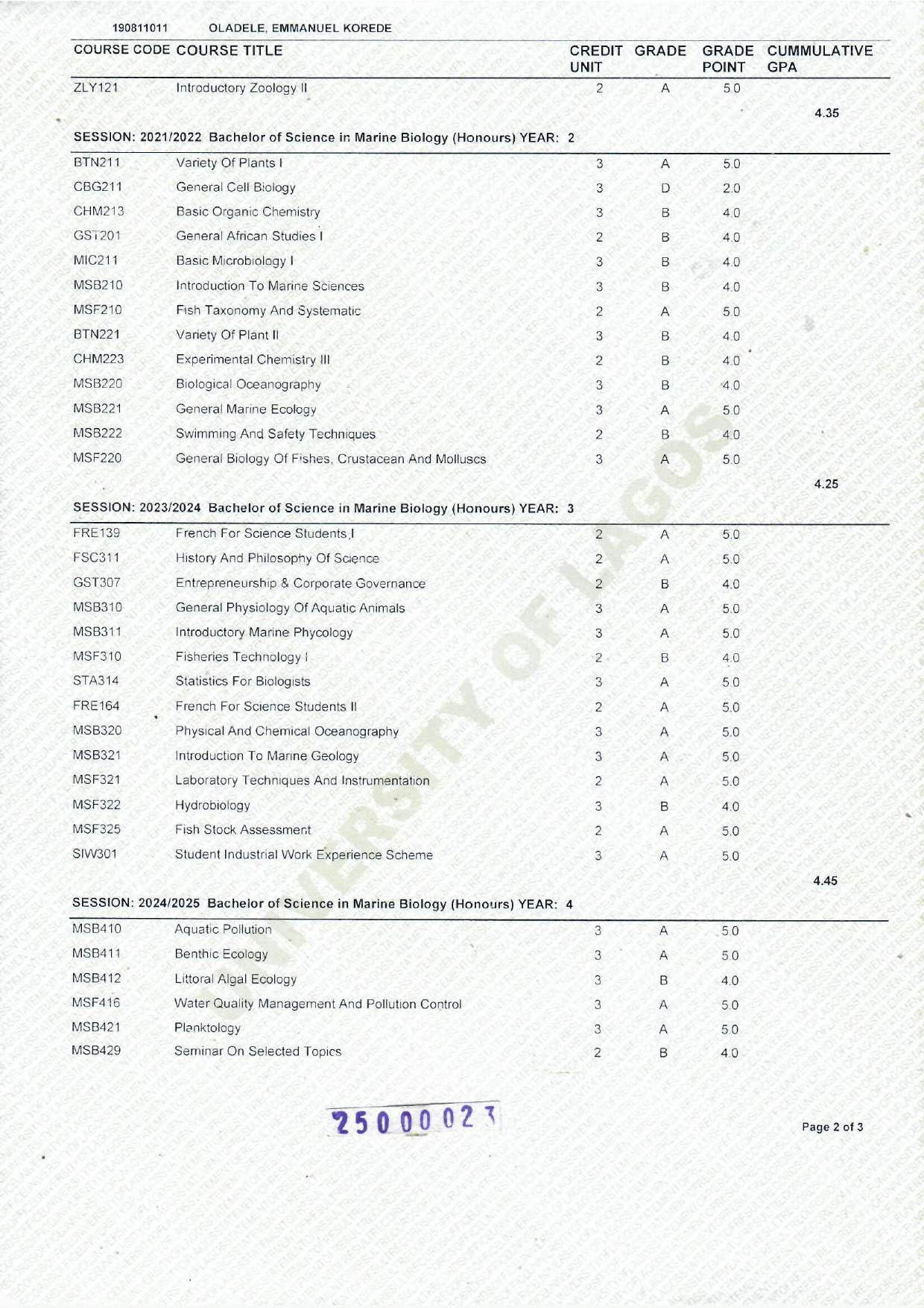 Document Page 2